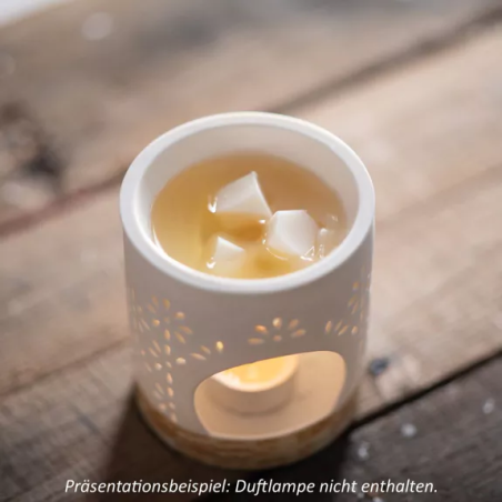 Scentmelts Duftwachs - Weihnachtliche Düfte