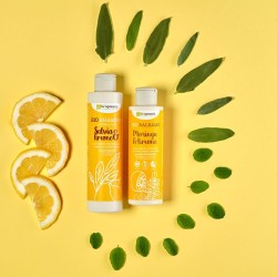 Bio-Shampoo - Salbei & Zitrone