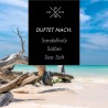 Dried Wood & Sea Salt - Duftstäbchen Reed Diffuser 200ml